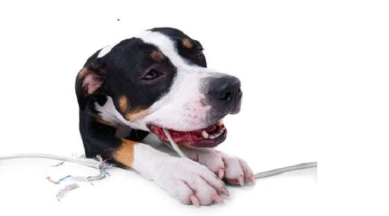 VERKKOKURSSI: Käytöshäiriöiden anatomia (2 op) 1.10.2018 alkaen